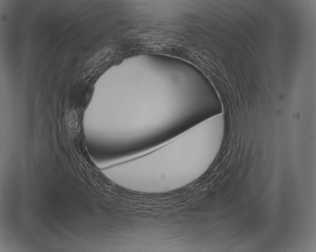 X0000085231347200703090846