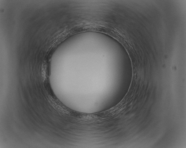 X0000085231348200703090846