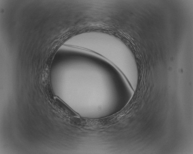 X0000085231349200703090846