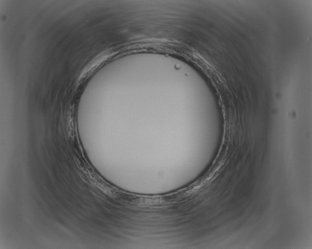 X0000085231354200703090846