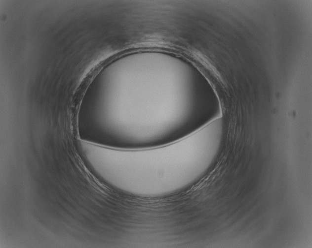 X0000085231356200703090846