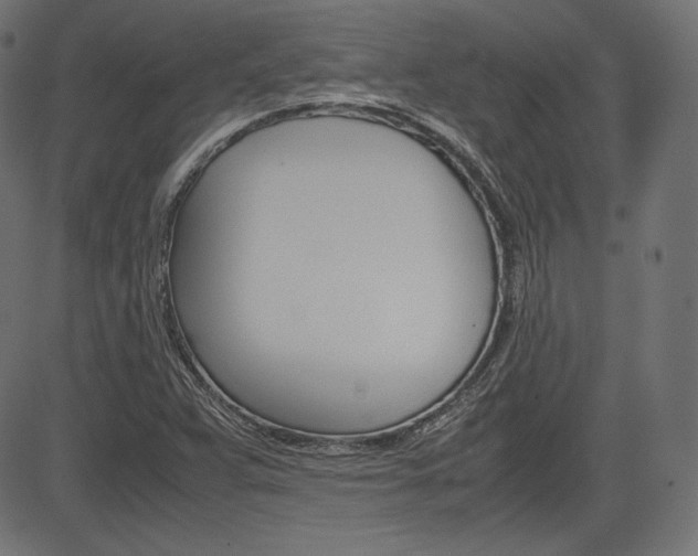 X0000085231359200703090846