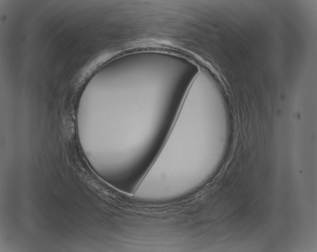 X0000085231363200703090846