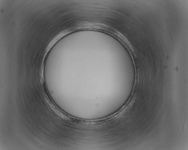 X0000085231370200703090846