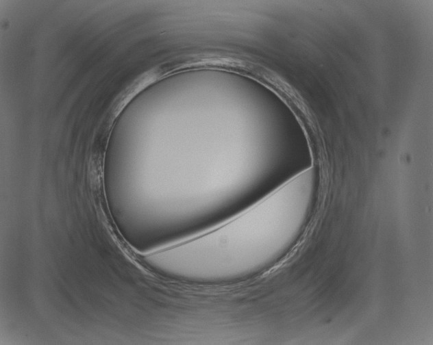 X0000085231377200703090846