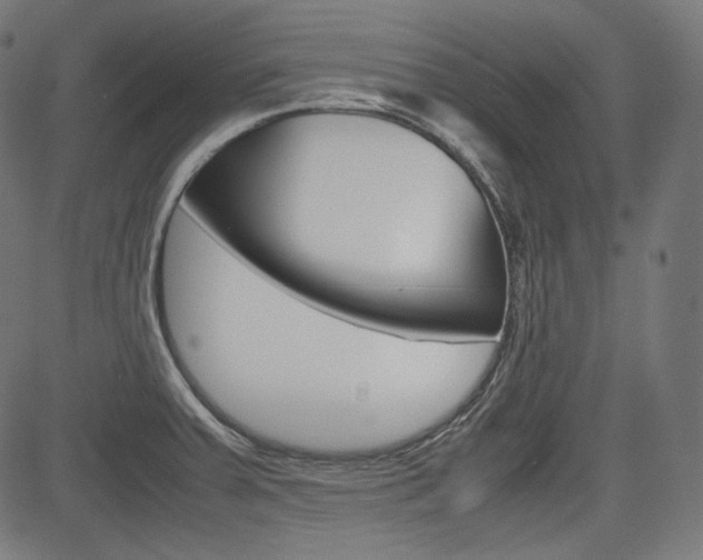 X0000085231379200703090846
