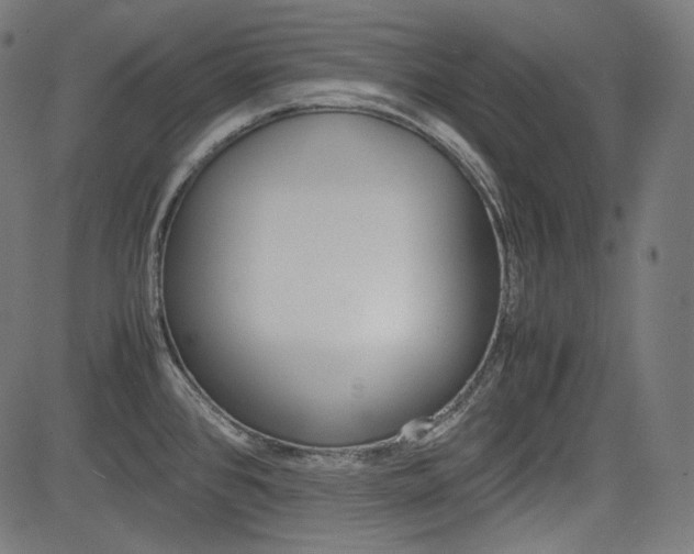 X0000085231384200703090846