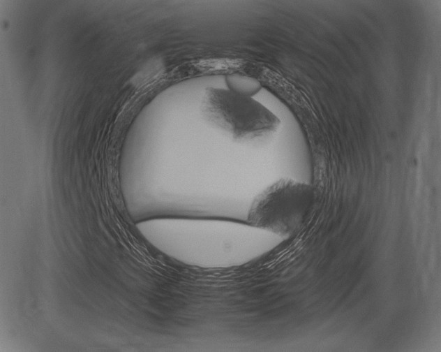 X0000085231393200703090845