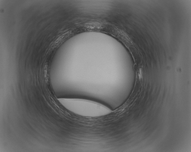 X0000085231396200703090845
