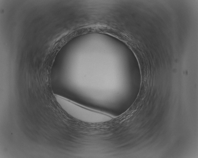 X0000085231398200703090845