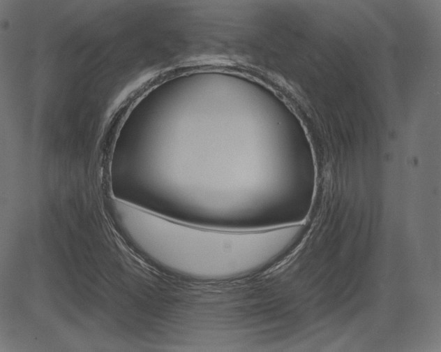 X0000085231406200703090845