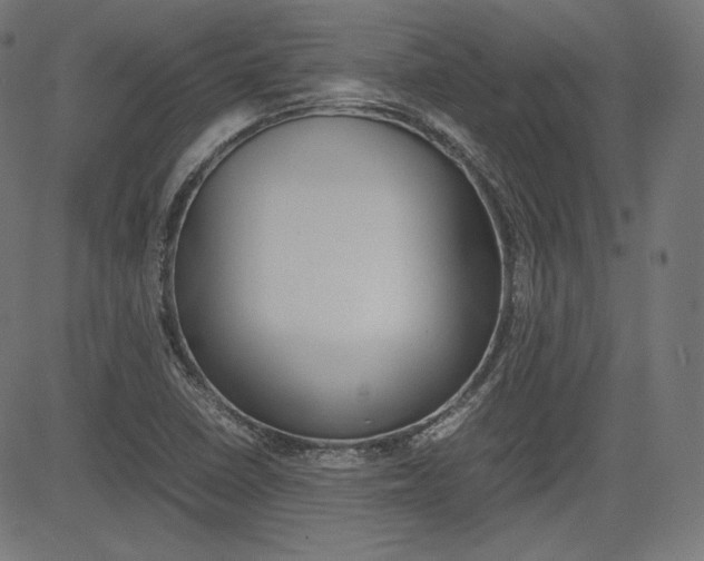 X0000085231410200703090845