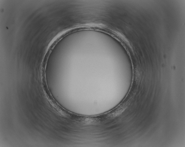 X0000085231412200703090845