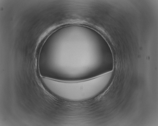 X0000085231414200703090845