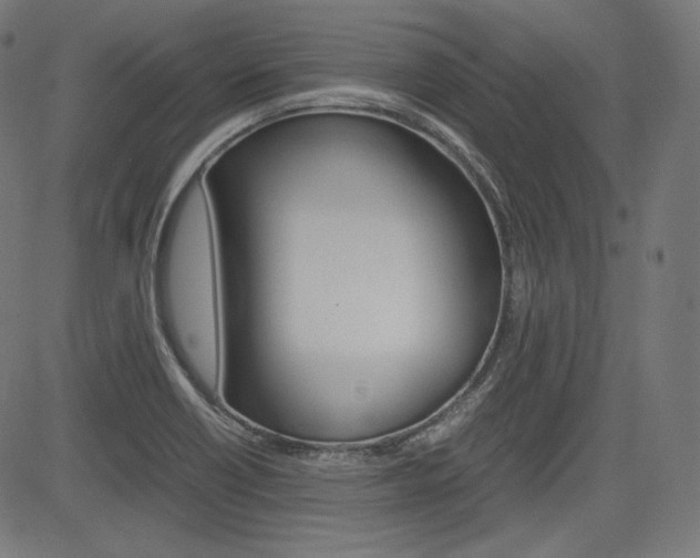 X0000085231418200703090845