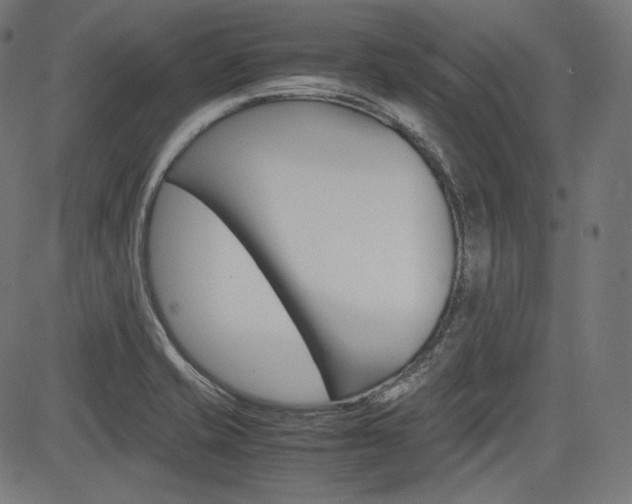 X0000085231421200703090845