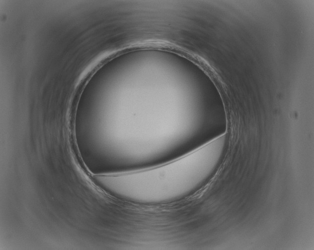 X0000085231422200703090845