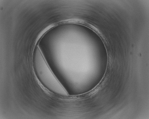 X0000085231426200703090845