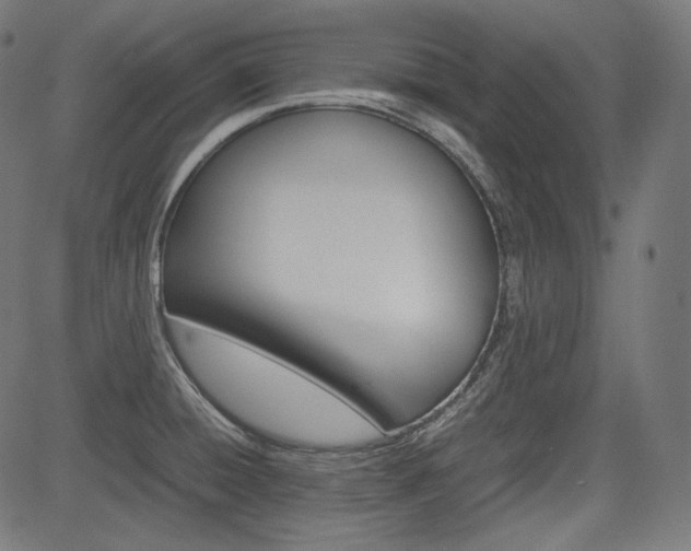 X0000085231428200703090845
