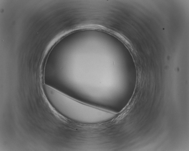 X0000085231430200703090845