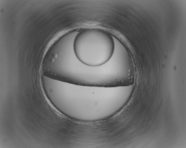 X0000085231432200703090845