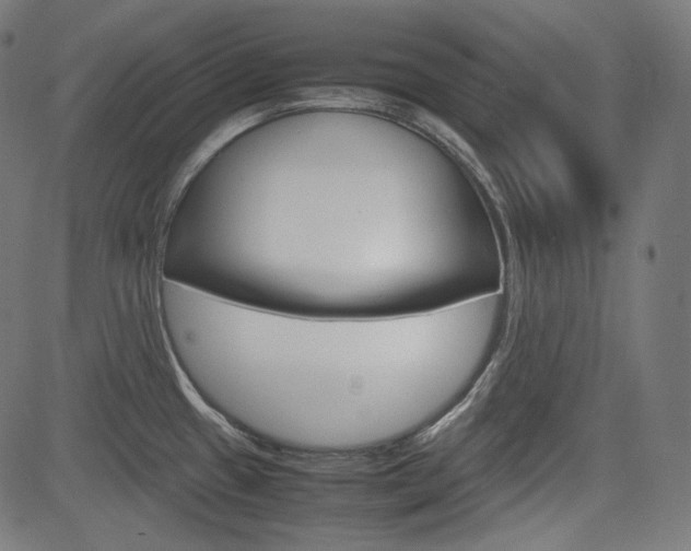 X0000085231433200703090845