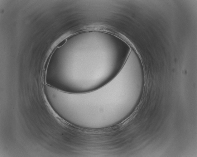 X0000085231434200703090845
