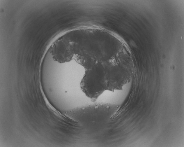 X0000085231439200703090845