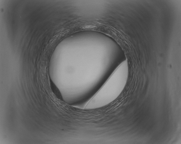 X0000085231441200703090845