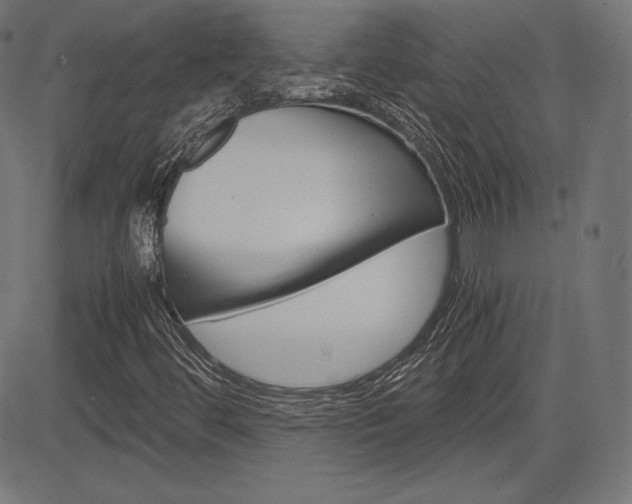 X0000085231444200703090845