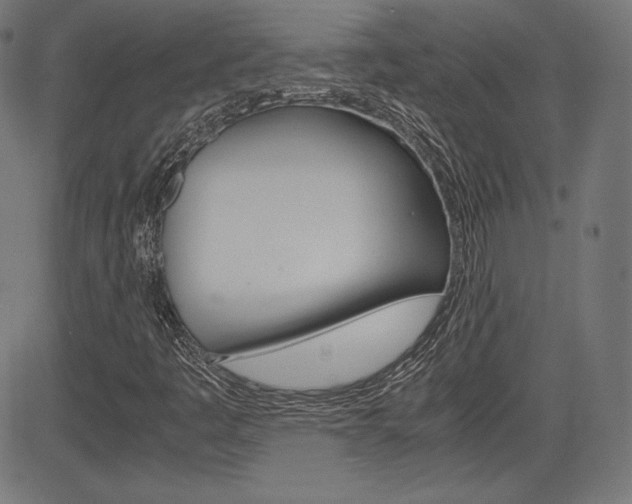 X0000085231445200703090845