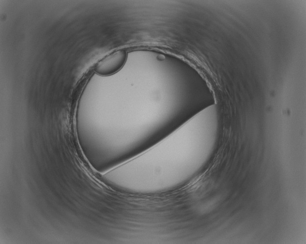 X0000085231452200703090844