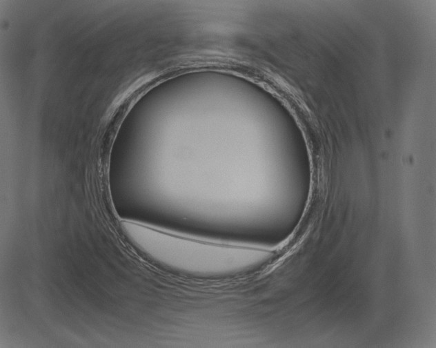 X0000085231453200703090844