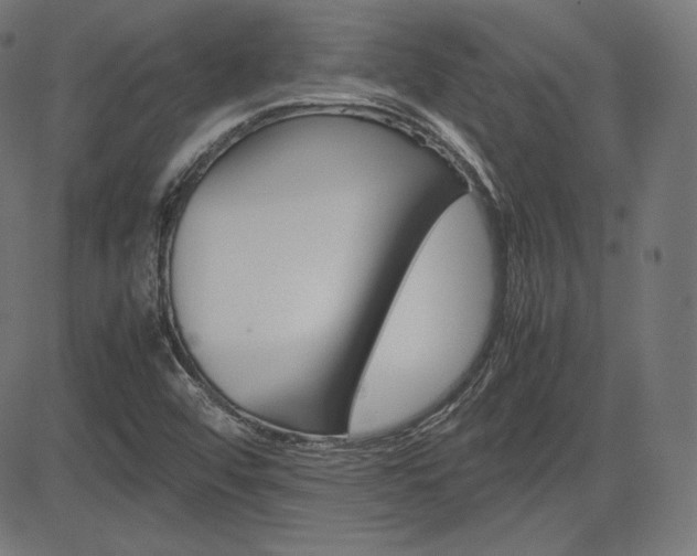 X0000085231456200703090844