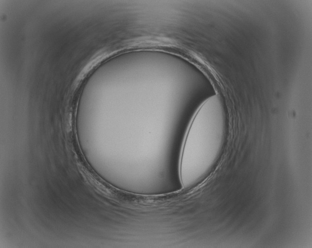 X0000085231459200703090844