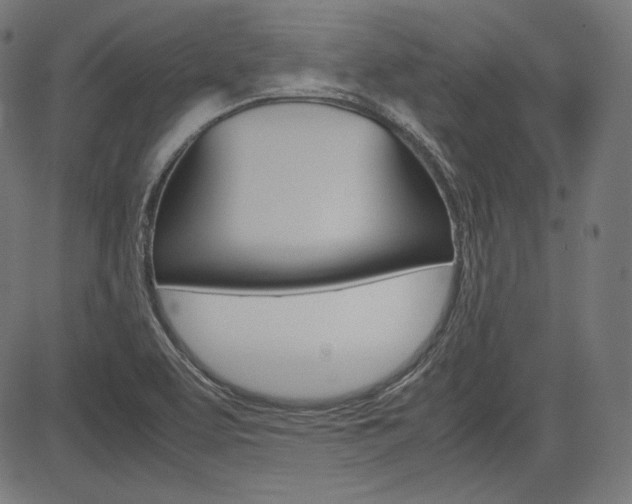 X0000085231463200703090844