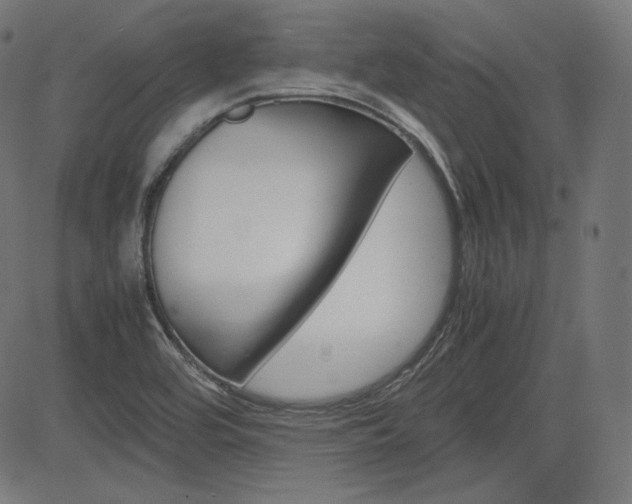 X0000085231464200703090844