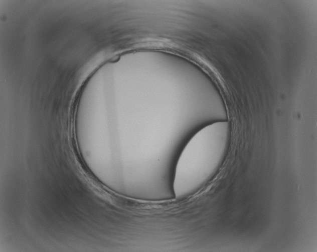 X0000085231467200703090844