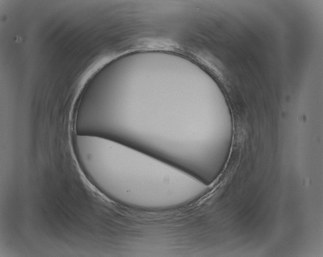 X0000085231471200703090844
