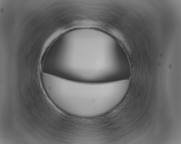X0000085231472200703090844
