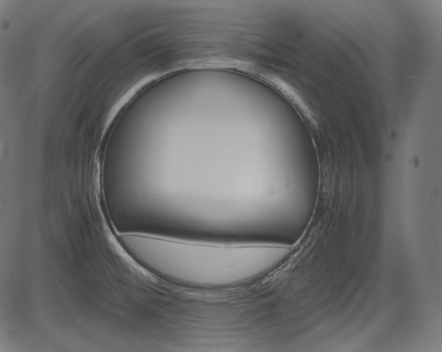 X0000085231476200703090844