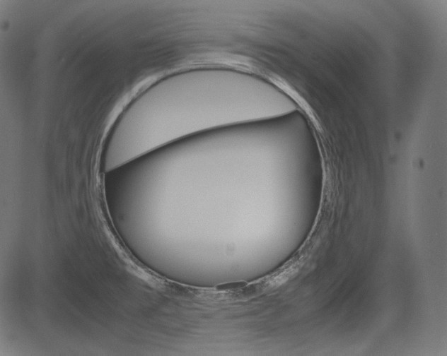 X0000085231477200703090844