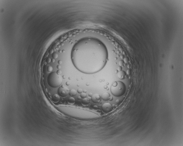 X0000085231479200703090844
