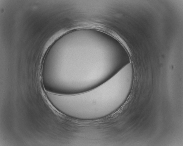 X0000085231485200703090844