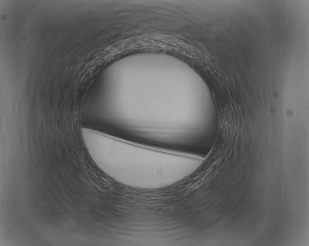 X0000085231490200703090843