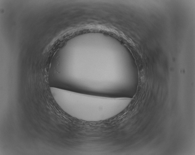 X0000085231495200703090843