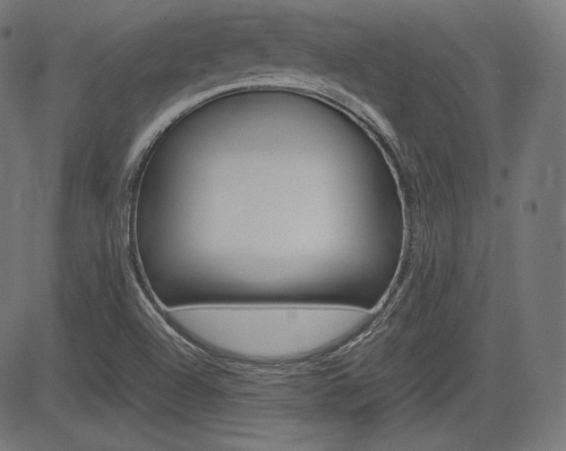 X0000085231504200703090843