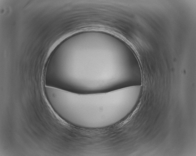 X0000085231533200703090844