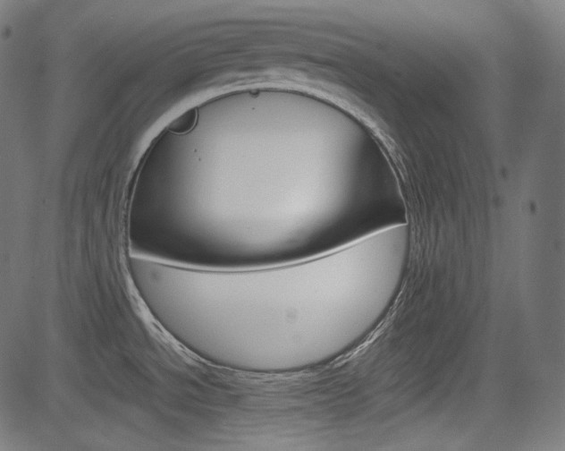 X0000085231534200703090844