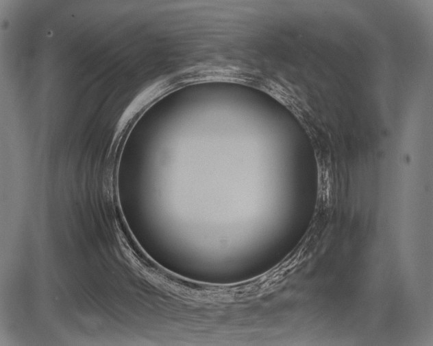 X0000085230004200703091203